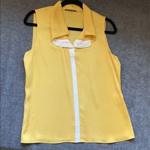 Silk Ellie Tahari blouse